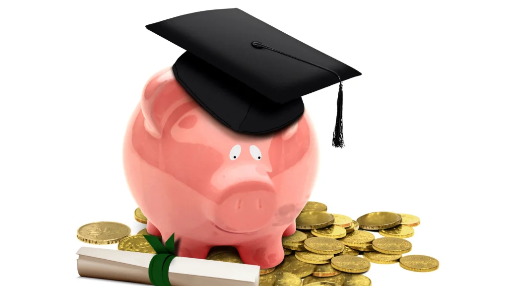 Risks investors should understand before opting for LAMF