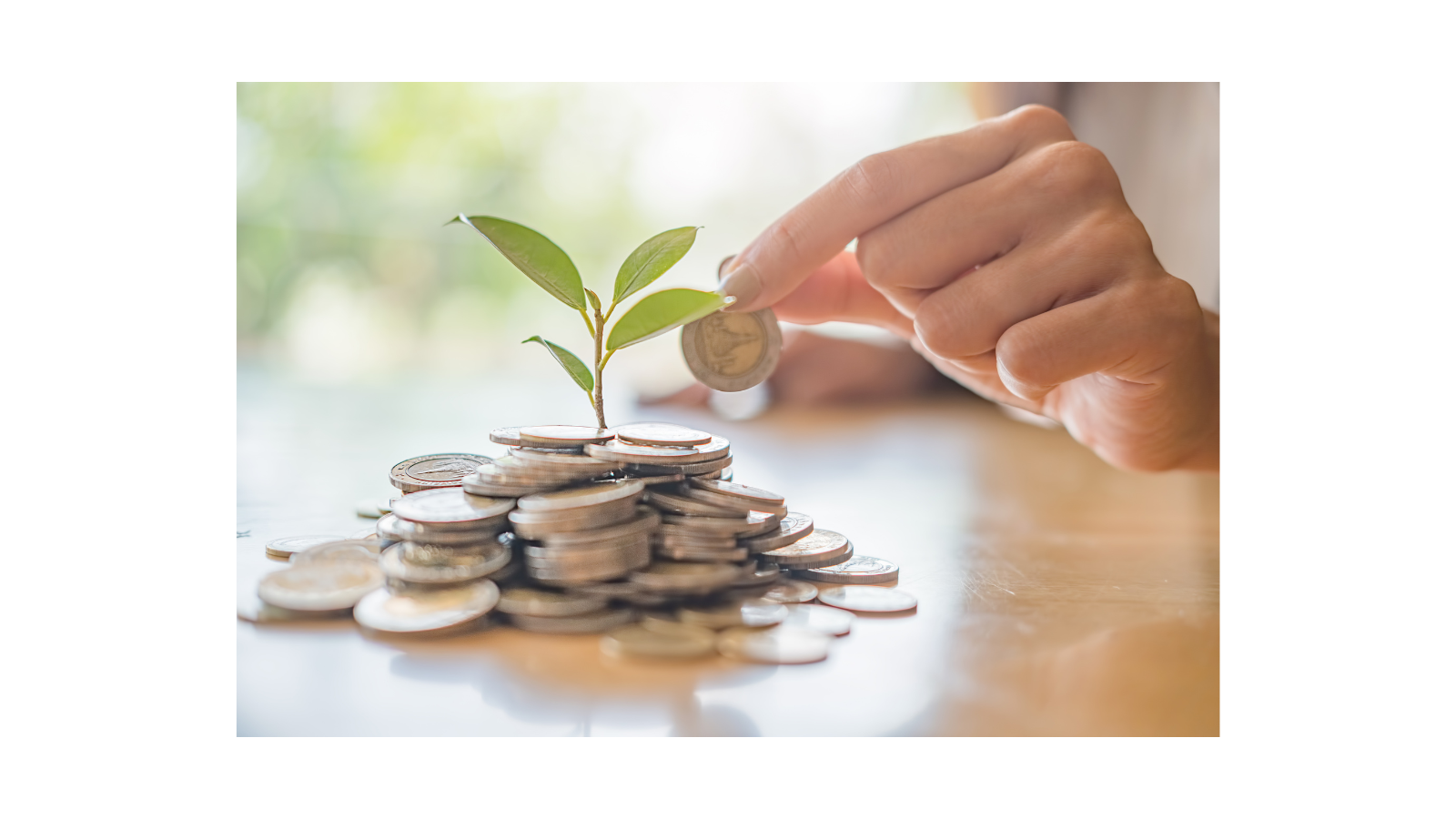 Experts Advise Tailored Flexi-Cap, Gold, and Large-Cap Fund Strategies for 2026