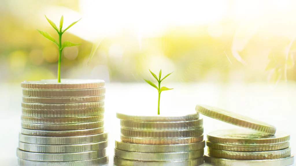 Understanding Interest Costs in LAMF Loans