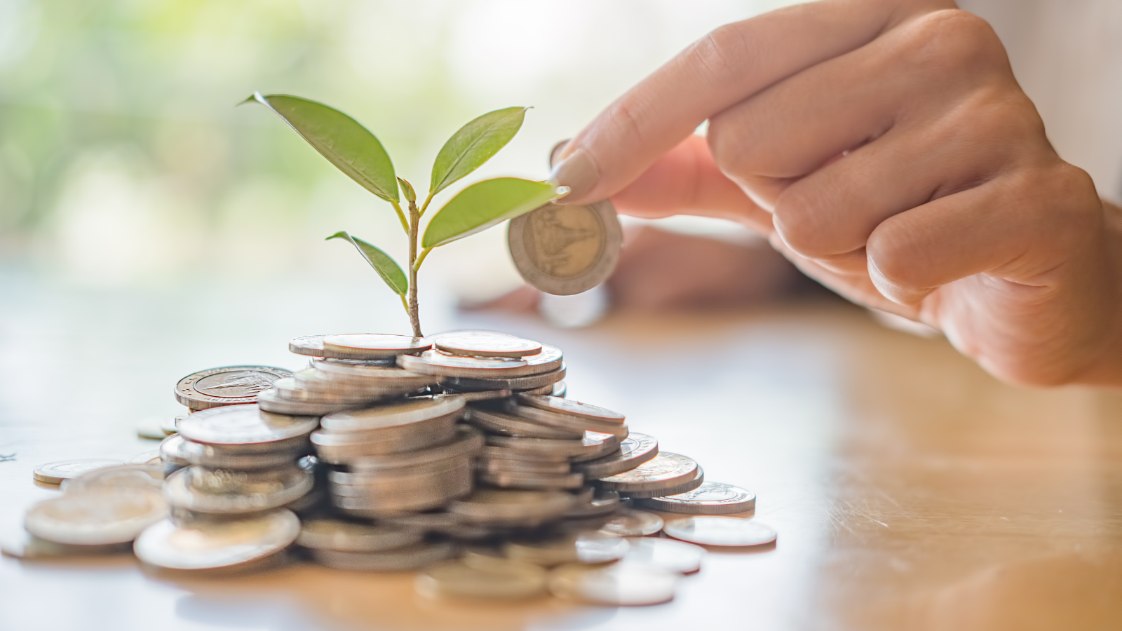 Investors Compare LAMF Platforms for Rates, Limits, and Digital Ease