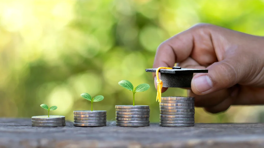 Understanding LTV and risk in LAMF borrowing