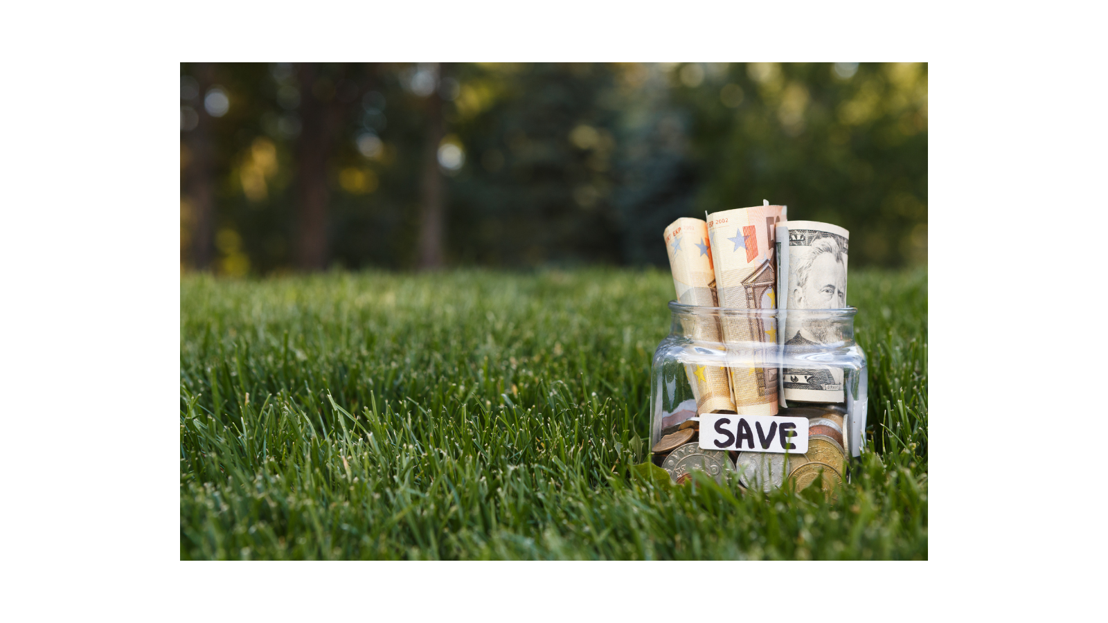 Top Flexi-Cap Funds Deliver Strong SIP Outcomes Over Five Years