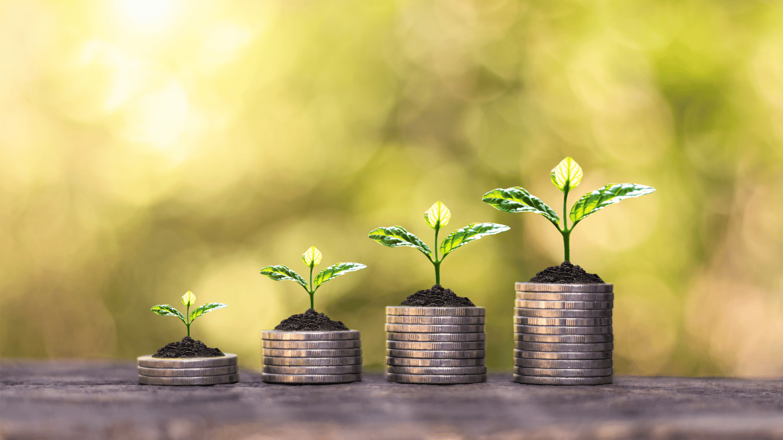 Monthly equity fund collections decline despite steady retail participation